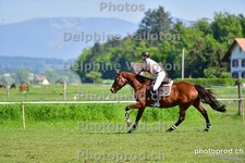 ref. photo 3156176