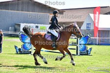 ref. photo 3156184