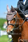 ref. photo 3156191