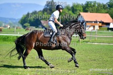 ref. photo 3156293