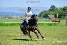 ref. photo 3156299