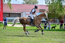 ref. photo 3156334