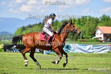 ref. photo 3156370