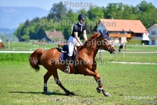 ref. photo 3156407
