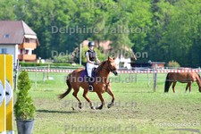 ref. photo 3156481