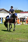 ref. photo 3156511