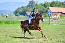 ref. photo 3156555