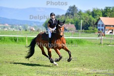 ref. photo 3156565