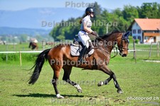 ref. photo 3156648