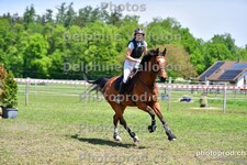 ref. photo 3156717