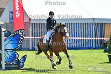 ref. photo 3156908