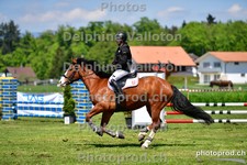 ref. photo 3156923