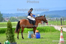 ref. photo 3157005