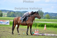 ref. photo 3157098