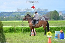 ref. photo 3157101