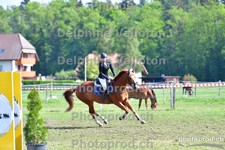 ref. photo 3157117
