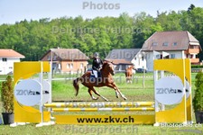 ref. photo 3157120
