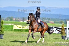 ref. photo 3157138