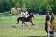 ref. photo 3157170
