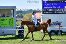 ref. photo 3157362