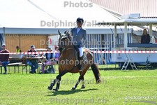 ref. photo 3157732