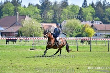 ref. photo 3157735