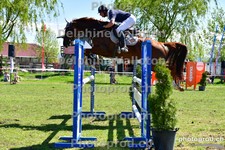 ref. photo 3157811