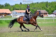 ref. photo 3158040