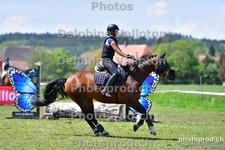 ref. photo 3158041
