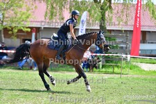 ref. photo 3158053
