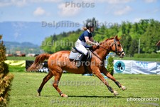 ref. photo 3158061