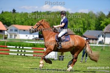ref. photo 3158171