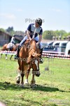 ref. photo 3158180