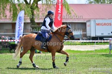 ref. photo 3158219