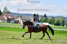 ref. photo 3158334