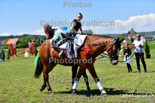 ref. photo 3158415