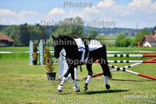 ref. photo 3158432
