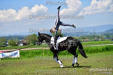 ref. photo 3158445
