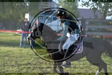 ref. photo 3606494