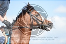 ref. photo 3606637