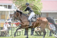 ref. photo 3607027