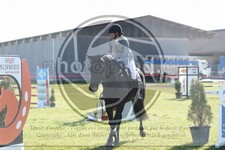 ref. photo 3607077