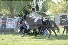 ref. photo 3607084