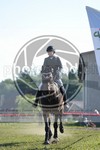 ref. photo 3607118
