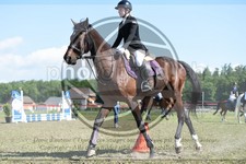 ref. photo 3607120