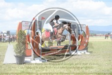 ref. photo 3607308