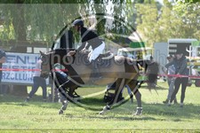 ref. photo 3607348