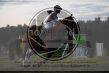 ref. photo 3607493