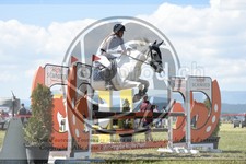 ref. photo 3607703