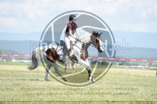 ref. photo 3608191